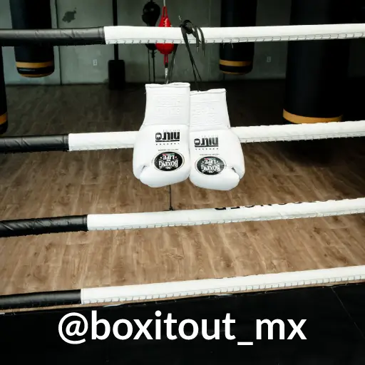 lengua-magazine-ft-nito-goyri-boxeador-y-rapero-mexicano-no-eres-lo-que-esperan-de-ti-eres-lo-que-decides-ser