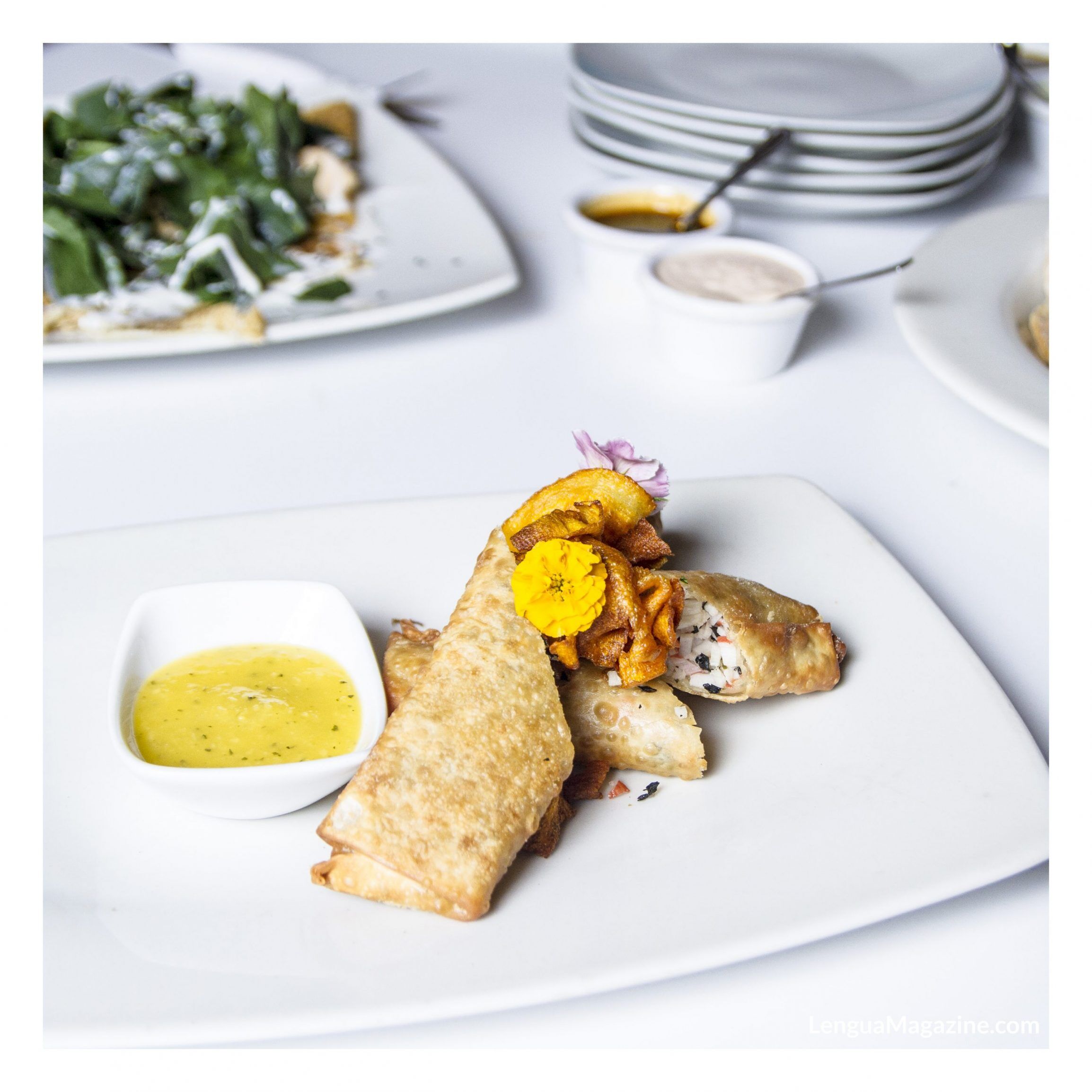 Darjeeling tea room casa morelos ⎜Lengua Magazine🖤