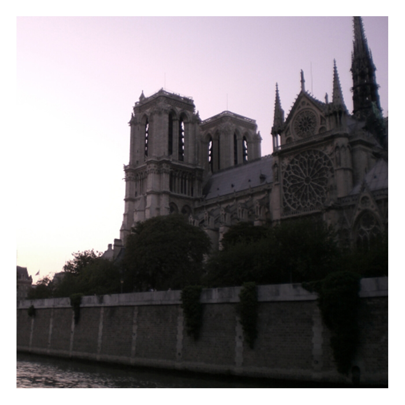 Paris lo amaras por siempre ⎜Lengua Magazine 🖤