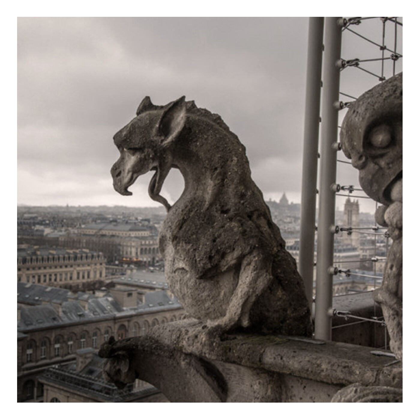 Paris lo amaras por siempre ⎜Lengua Magazine 🖤