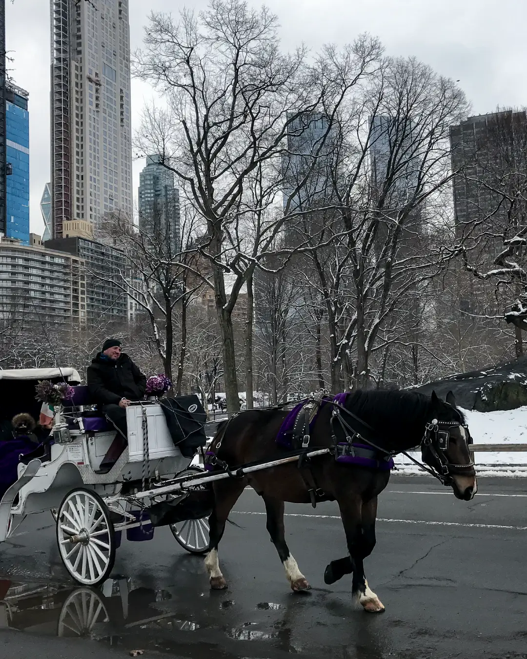 Lengua-magazine-El-frio-de-Nueva-York-Vive-la-ciudad-como-un-neoyorquino-manuel-sanchez-manuelsanchez_mx--vlog-de-viaje-que-hacer-en-nuevayork-viajar-a-nueva-york